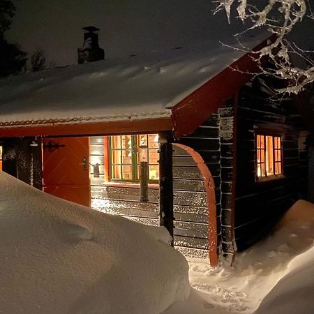 Bjerkely, Sjusjoen 빌라 외부 사진