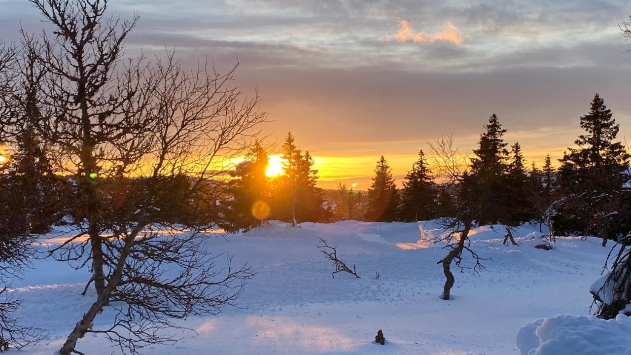 Bjerkely, Sjusjoen 빌라 외부 사진