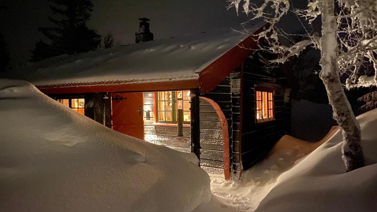 Bjerkely, Sjusjoen 빌라 외부 사진