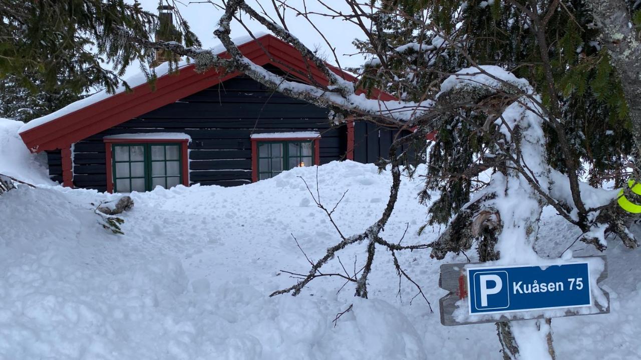 Bjerkely, Sjusjoen 빌라 외부 사진