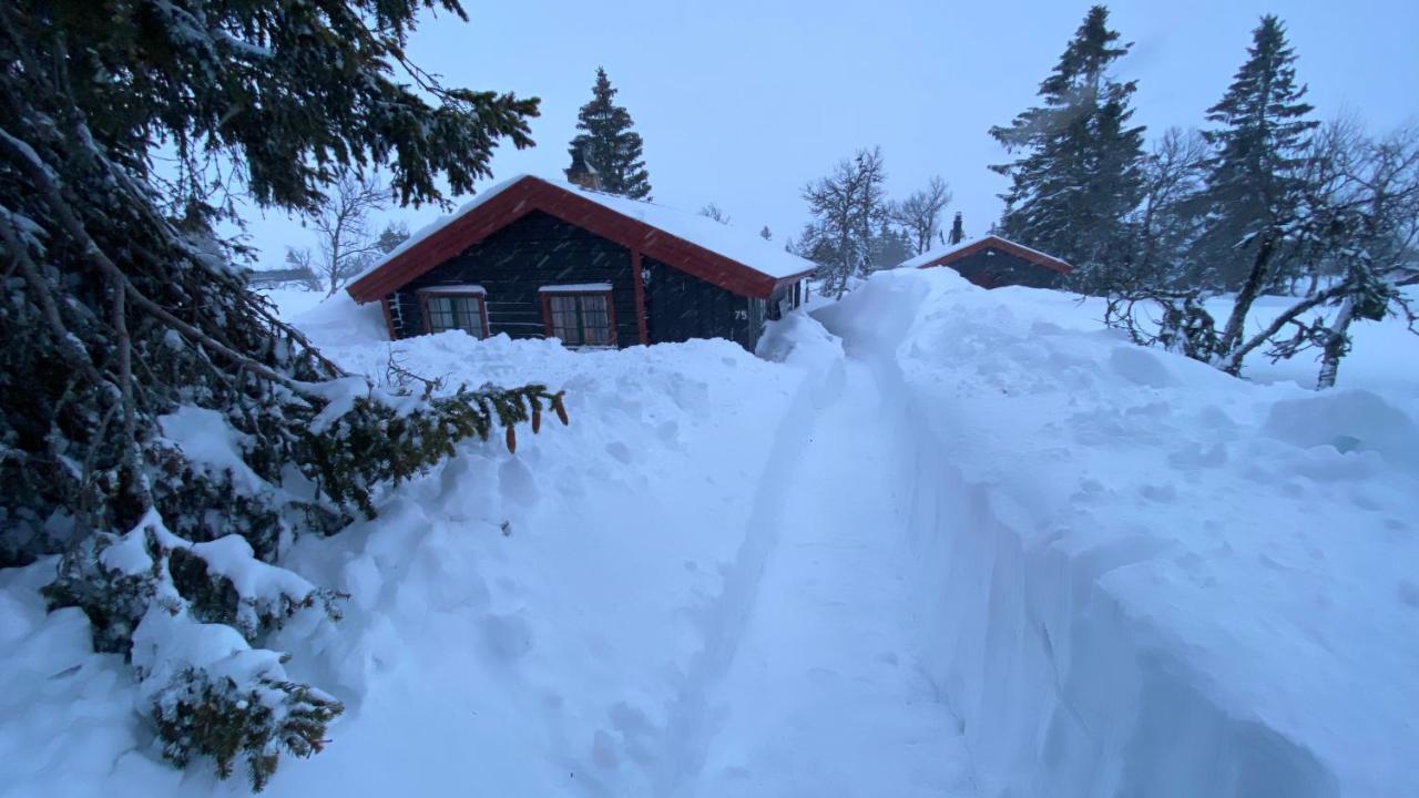 Bjerkely, Sjusjoen 빌라 외부 사진