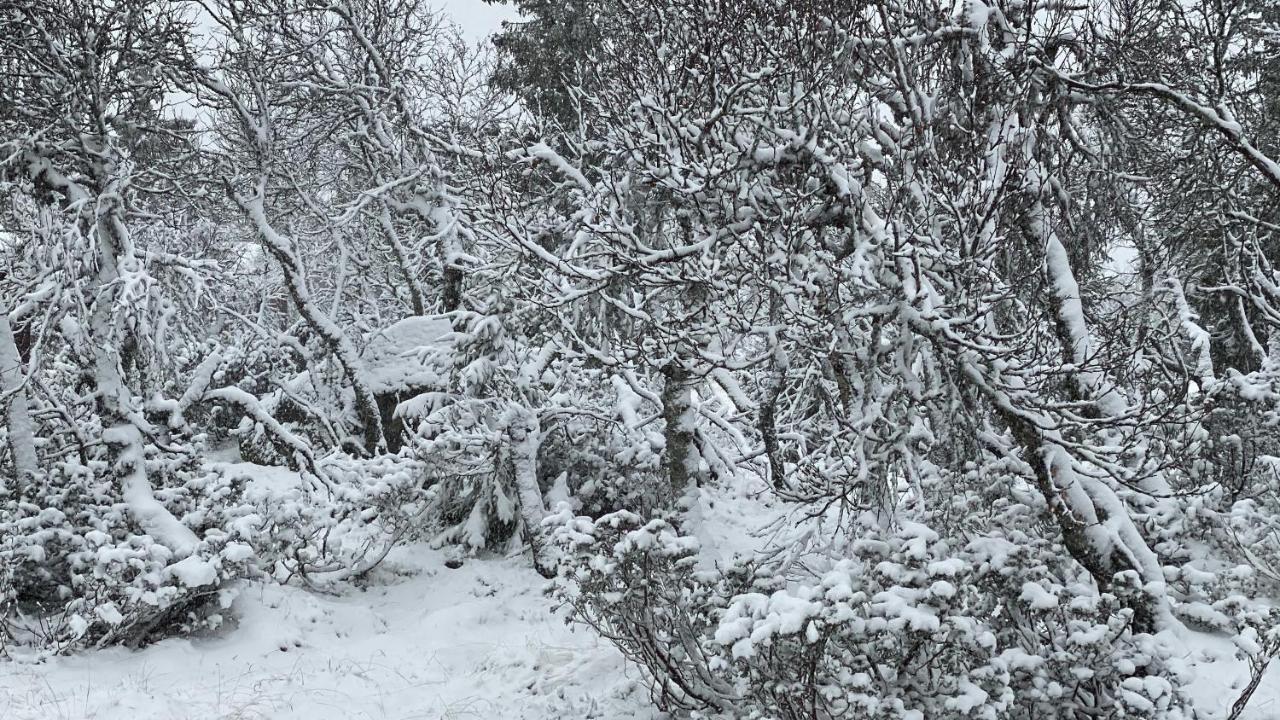 Bjerkely, Sjusjoen 빌라 외부 사진