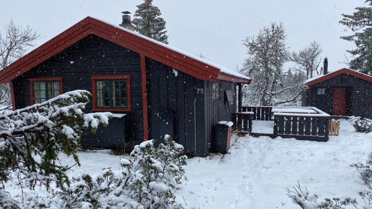 Bjerkely, Sjusjoen 빌라 외부 사진