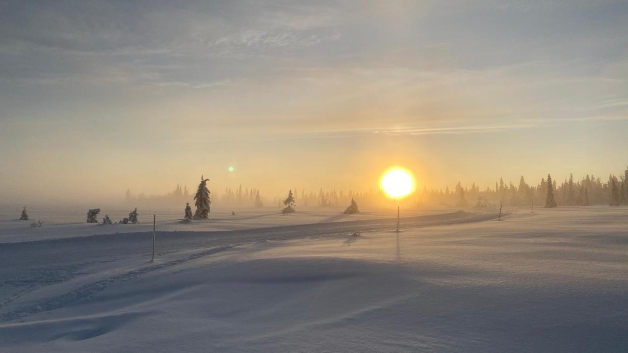 Bjerkely, Sjusjoen 빌라 외부 사진