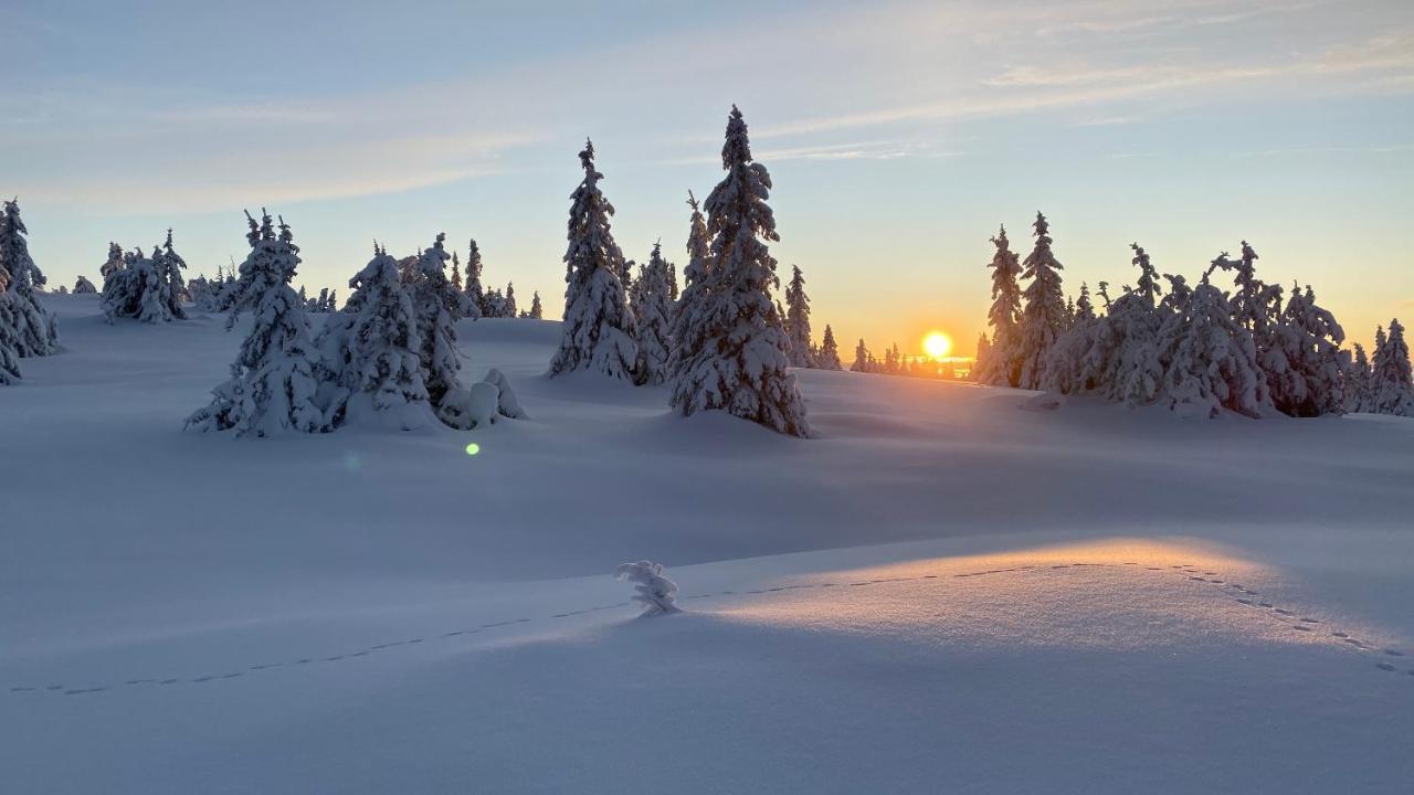 Bjerkely, Sjusjoen 빌라 외부 사진