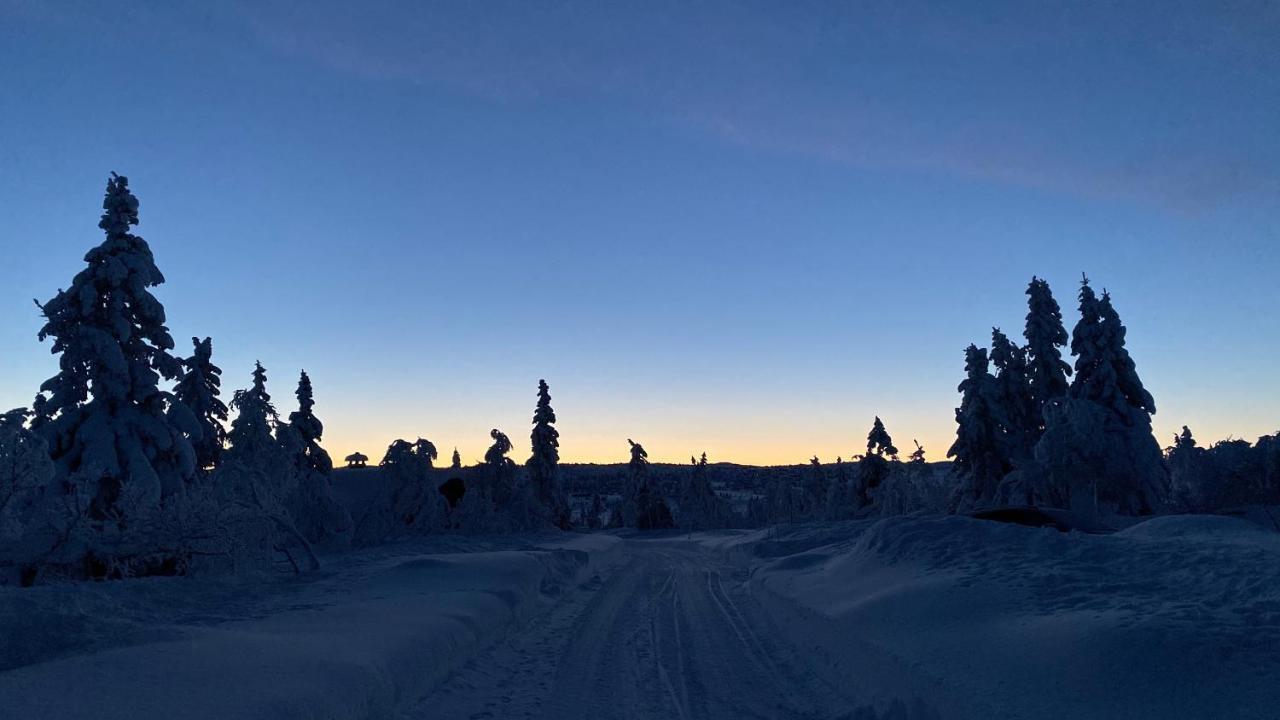 Bjerkely, Sjusjoen 빌라 외부 사진