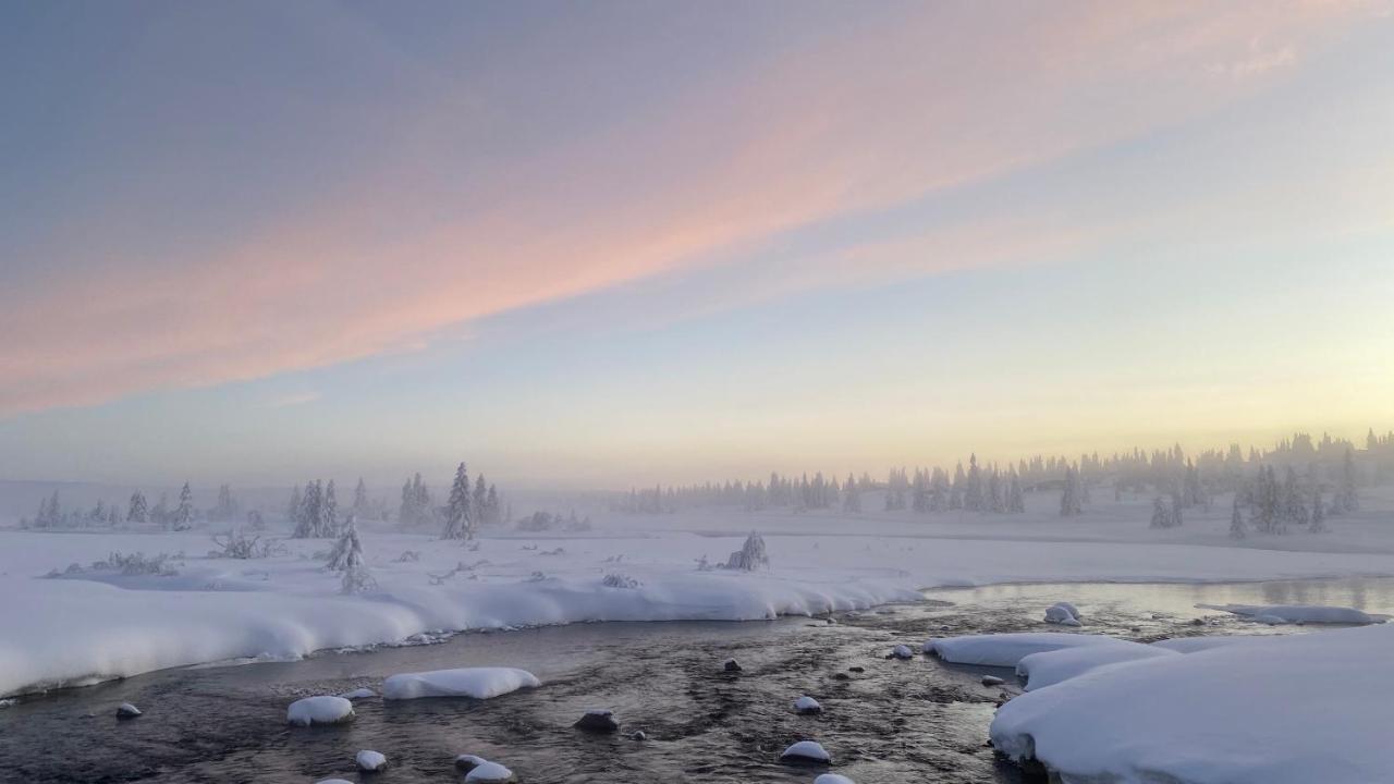 Bjerkely, Sjusjoen 빌라 외부 사진