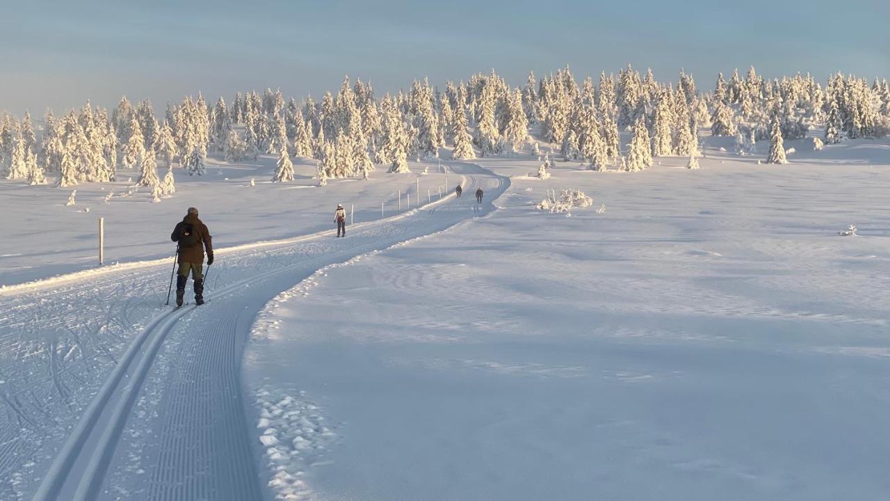 Bjerkely, Sjusjoen 빌라 외부 사진