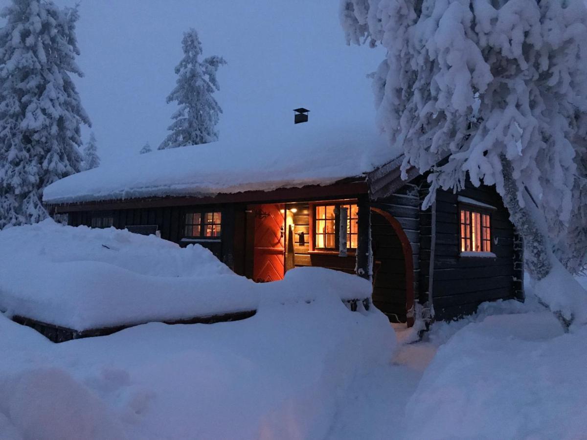 Bjerkely, Sjusjoen 빌라 외부 사진