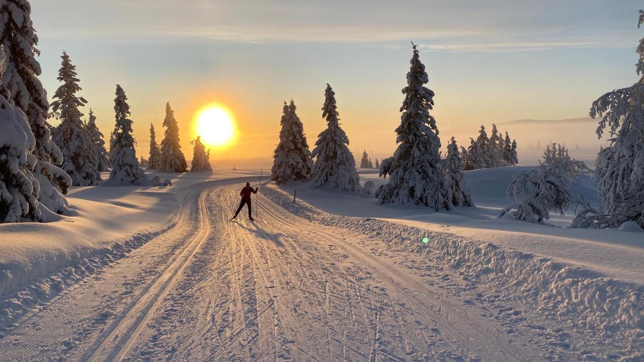 Bjerkely, Sjusjoen 빌라 외부 사진